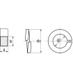 Rondelles freins élastiques (Grower) inox A4