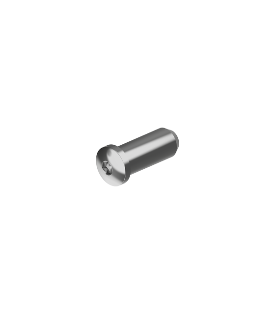 Terminaison taraudée tête cylindrique BTR inox A4